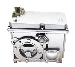 Naayos ba o variable ang isang gear pump?
