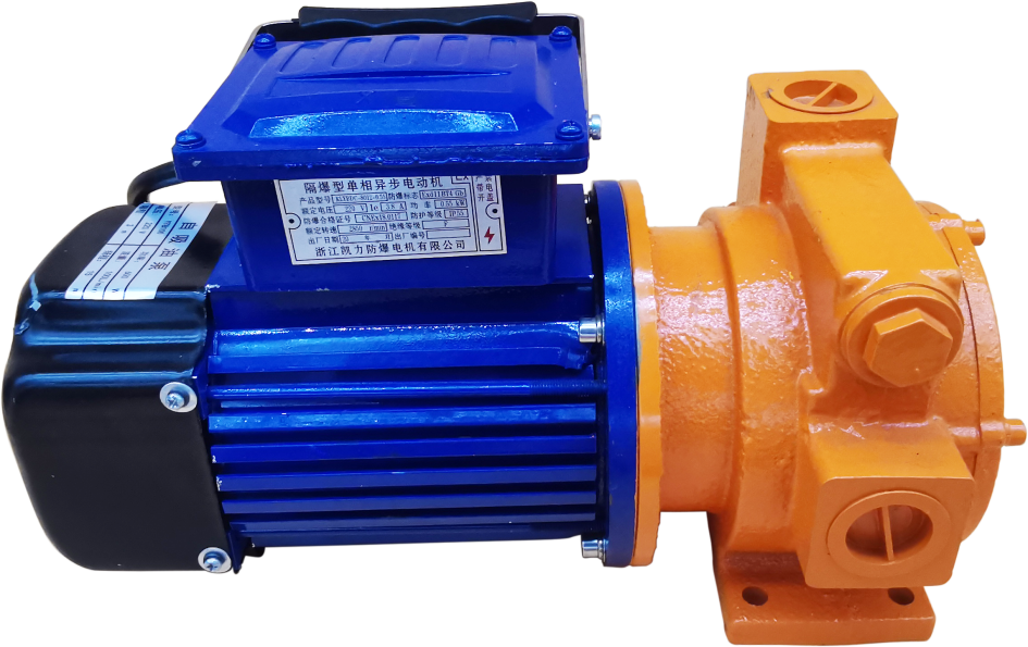 Ano ang oil drum pump?