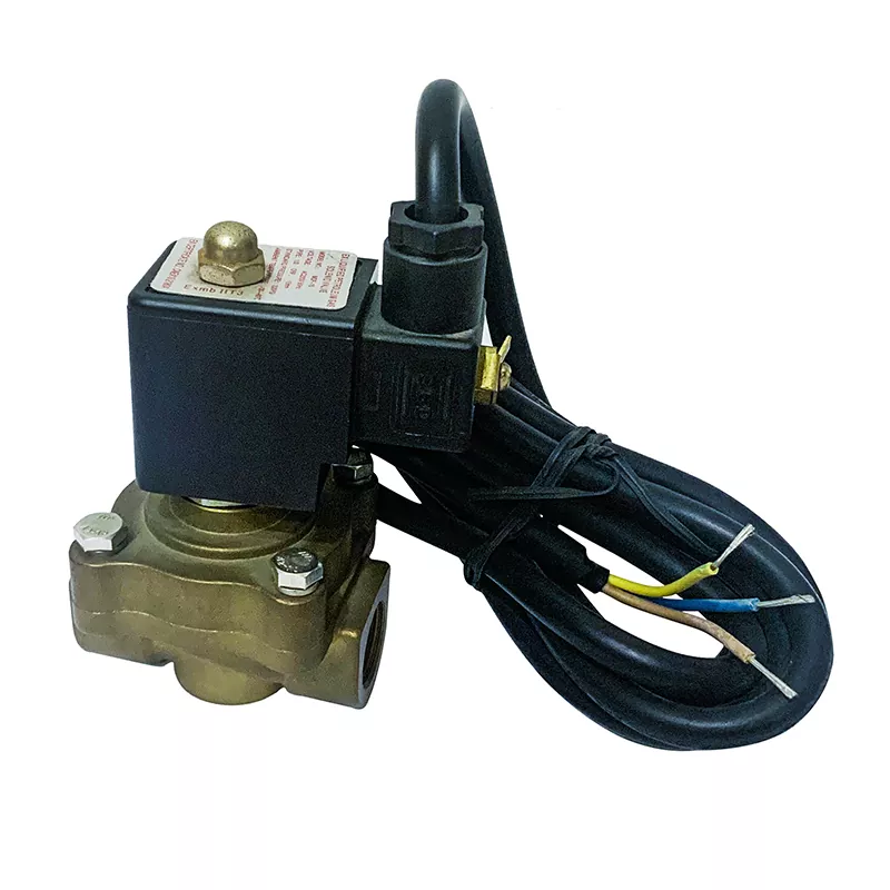 Solong daloy ng LPG dispenser solenoid valve